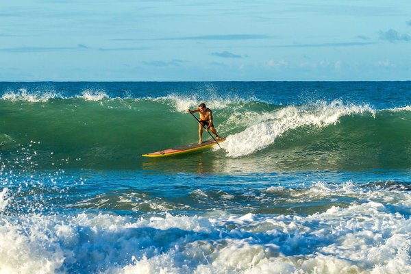 Pourquoi il vaut mieux louer qu'acheter un paddle quand on débute ce sport ?