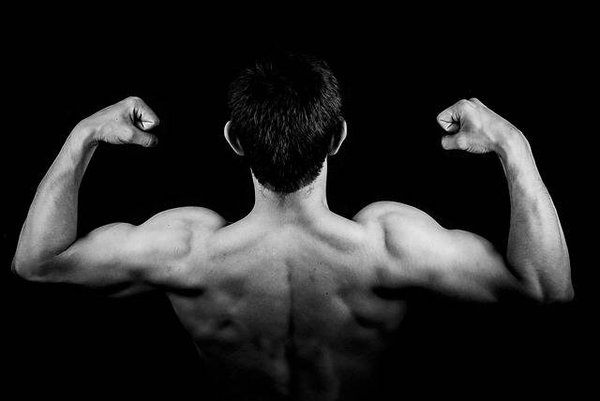 Les meilleures activités sportives pour renforcer vos muscles